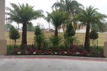 Palace 290 & Jones Rd Hotel Jersey Village